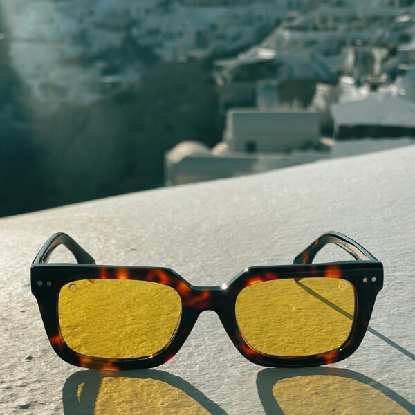 ECΛIΠSE Tortoise Sunglasses Lifestyle