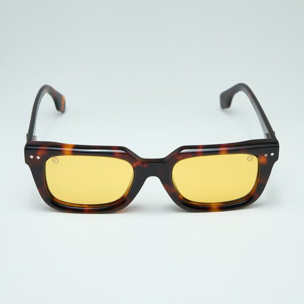 ECΛIΠSE Tortoise Sunglasses Front View