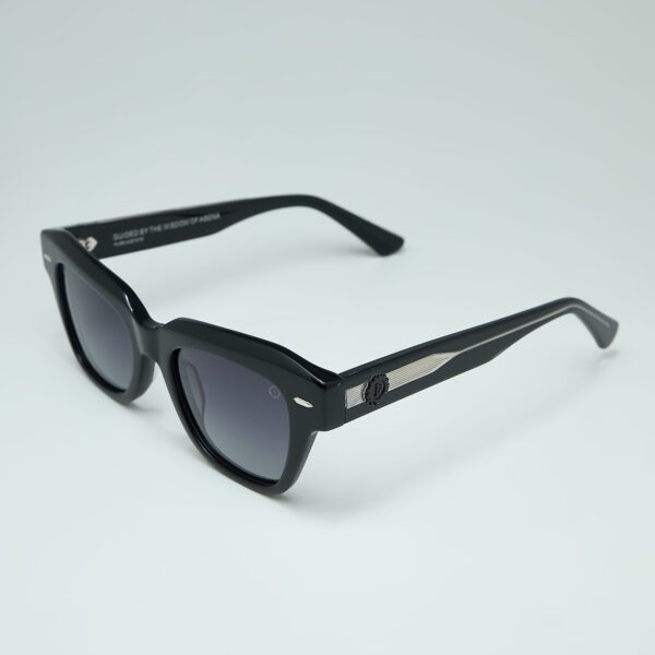 SOΛARIS Black Sunglasses Temple Side Detail