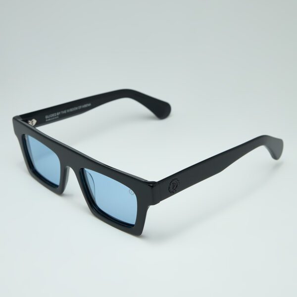 IΓNIS Black Sunglasses Temple Side Detail