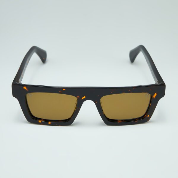 IΓNIS Tortoise Sunglasses Front View