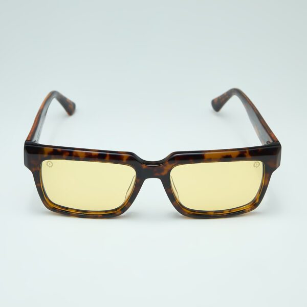 ΛUMINOUS Tortoise Sunglasses Front View